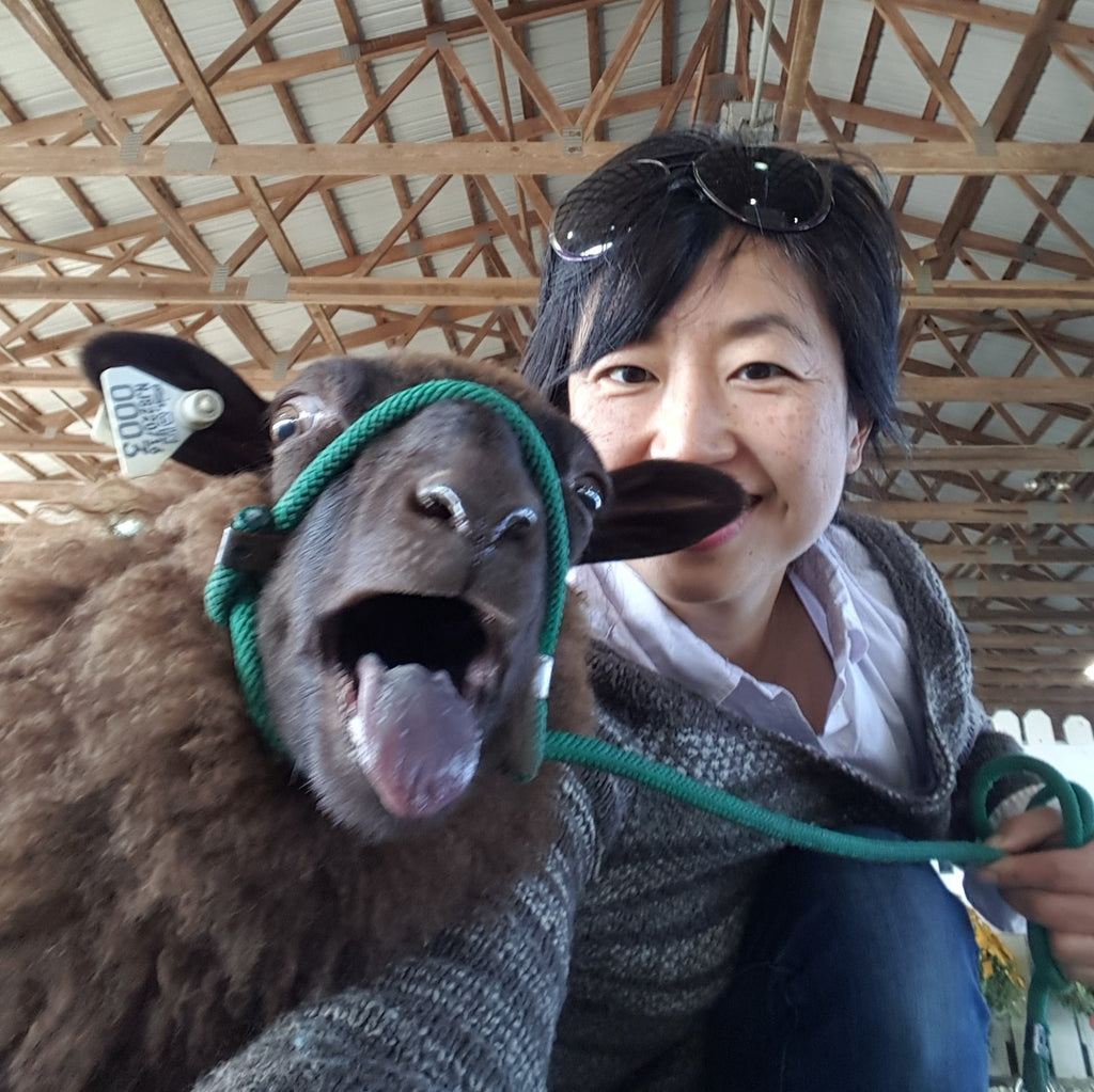 Garden State Sheep Breeders NJ Sheep & Fiber Festival Middle Brook